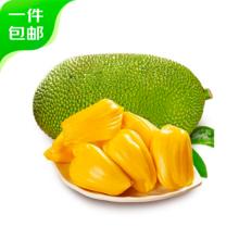 京鲜生 海南老树菠萝蜜 13-17斤装 一整个 生鲜新鲜水果 源头直发