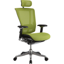 保友办公家具（Ergonor） 保友金典L旗舰版办公椅电竞椅主播椅电脑椅联友人体工学椅躺椅 灰框银白美国网带躺舒宝 可旋转可升降扶手