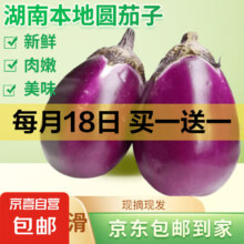 新鲜圆茄子现摘现发农家自种蔬菜圆茄湖南特产 圆茄子 1斤 ±0.1斤
