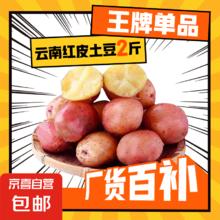 云南红皮土豆 2斤 单果1-3两