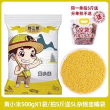 2人团、首单礼金：野三坡 黄小米新米 1斤500g