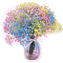 爱满（AIMAN）满天星天然干花花束ins网红生日 新房装饰摆件风干真插花家居摆设 桃红色满天星 【带M款花瓶】