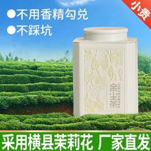 金尘茶 茶叶茉莉花茶横县特级200g