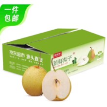 再降价、plus、需凑单：京鲜生 河北雪花梨 净重4.5斤 单果250g+