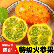 非洲火参果海参果刺角瓜新鲜水果孕妇罕见新奇小众水果整箱包邮 【尝鲜】2个装 单果250g起