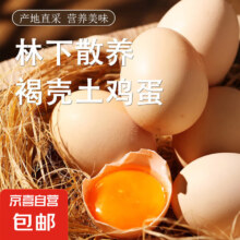 东北粉壳蛋农家散养现捡新鲜谷物柴鸡蛋 单枚40g 鲜鸡蛋10枚装