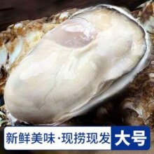 淘宝买菜 鲜活乳山生蚝XXXXL号（190g以上） 带箱5斤装