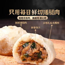 头厨 TOP CHEF 嵊州特产纯手工包子 老面小笼包 125g*8袋 1000g约40个