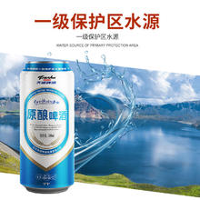 88VIP会员：天湖啤酒 天湖9度原酿啤酒 500ml*12听