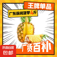 广东湛江徐闻菠萝 香水菠萝 热带水果 2个 带箱约4斤
