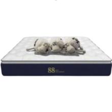 20点开始：舒达 Serta 梦享88S 席梦思床垫