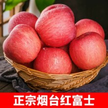 A股上市企业！宏辉果蔬 盒马同款 烟台红富士苹果5斤（果径80-85mm）￥25.48 6.0折