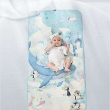 babycare抗菌透气吸汗婴儿床冰丝席 56*100CM