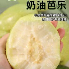 奶油白心红心芭乐 新鲜软糯低卡低热量轻食首先水果 2斤带箱（白心）