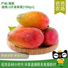 海南 三亚 贵妃芒果 3斤 100g+