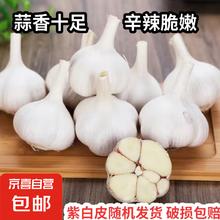 京喜 国产紫白皮大蒜 0.9斤 食品生鲜