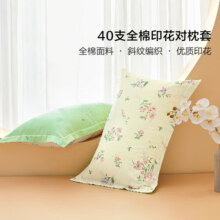 百丽丝枕头套单件 全棉枕套枕巾纯棉枕头罩枕套一对48x74cm