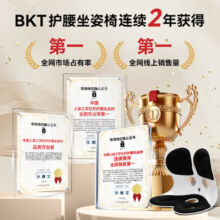 BKT护腰坐垫腰靠垫坐垫夏季凉垫沙发垫靠垫腰靠人体工学久坐不累 爱心款-爱心红【220斤以内】