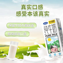 完达山 纯牛奶 200ml*24盒