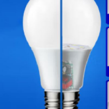 家用白光 瓦球泡节能灯 超亮  5W   白光  1支装