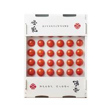 阳香 高端小番茄 1000g 甜度≥6