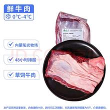 月盛斋 国产牛腩1斤 内蒙牛肉鲜肉 中华（肥瘦2:8）