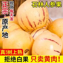 水果蔬菜 人参果 带箱3斤大果（单果80g+）