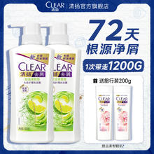 清扬 去屑控油洗发水 500g*2+100g*2