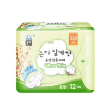 恩芝(Eunjee)韩国进口日用卫生巾250mm12片 超薄透气护翼型少女姨妈巾