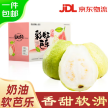 京鲜生 树熟软糯奶油芭乐 净重3斤装单果150g+