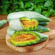 粤迎山东羊角蜜甜瓜 净4.5-5斤精选果【单果250g+】