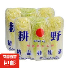 京喜 新鲜霜冻娃娃菜 3棵/包