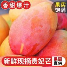 百亿补贴：榴小甜 贵妃芒果 4.5斤 新鲜当季正宗云南红金龙彩芒