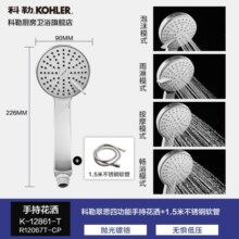 科勒（KOHLER） 淋浴花洒喷头 手持花洒多功能莲蓬头软管滑动杆底座托套餐 翠思12861T+1.5米软管