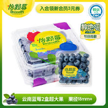 Driscoll's 怡颗莓 云南蓝莓 Jumbo超大果 18mm+ 125g/盒 2盒装