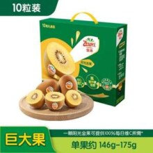 Zespri 佳沛 新西兰阳光金奇异果 Jumbo巨大果146-175g 10个礼盒装