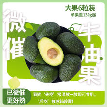 17日20点：京鲜生 大号牛油果（微催熟）6粒装（单果130g起）