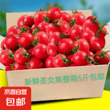云南圣女果 3斤