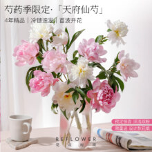 REFLOWER 花点时间 天府仙芍 重瓣芍药鲜切花 30枝/白色