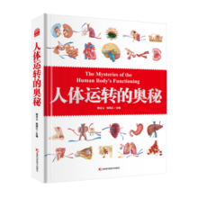 人体运转的奥秘