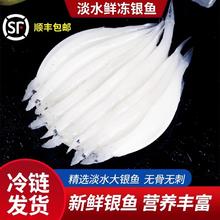 新鲜银鱼苏州三白小银鱼淡水银鱼冰鲜冷冻宝宝辅食