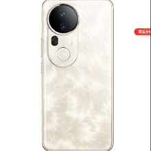 VIVO S20pro  凤羽金 12GB+512GB