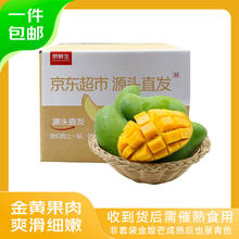 京鲜生 广西青皮金煌芒果 净重4.5斤装 单果250g起 生鲜水果源头直发