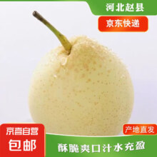京喜加赵州水晶鸭梨新鲜水果产地直发 单果180g起 带箱2斤