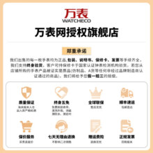 爱宝时（EPOS）万表瑞士手表男月相阿尔卑斯山峰自动机械腕表3391.832.20.36.25