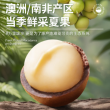 三只松鼠 大颗粒夏威夷果 500g*1罐装