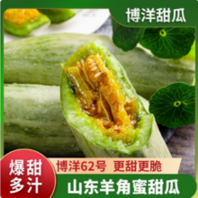 淘宝买菜农场直发 博洋62号羊角蜜甜瓜 净重4.5斤/单果250g起