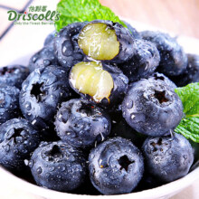 再降价、京东百亿补贴：Driscoll's 怡颗莓 云南蓝莓 125g*5盒