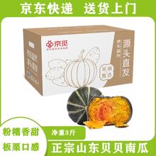 京觅 山东贝贝南瓜 净重3斤 中果300-750g 粉糯香甜新鲜蔬菜源头直发