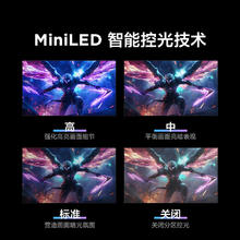 雷鸟 F6 24.5英寸300Hz高刷 QD-MiniLED游戏电竞显示器 1ms响应时间 HDR600 IPS